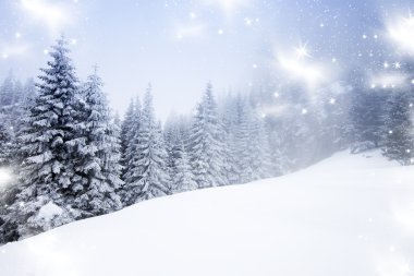 Karlı köknar ağaçları ile Noel arkaplanı