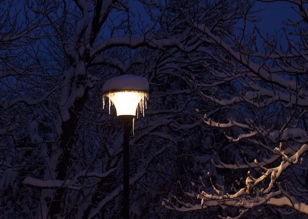 Straatverlichting lantern en bomen bedekt met sneeuw in de nacht — Stockfoto