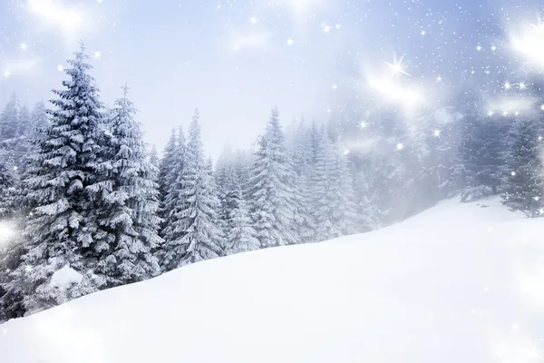 Kerst achtergrond met besneeuwde dennenbomen — Stockfoto