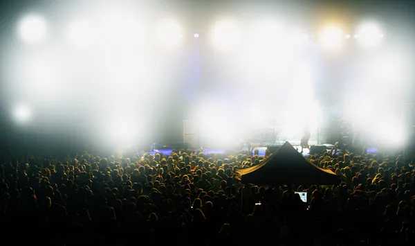 Crowd at concert — Stock Photo, Image