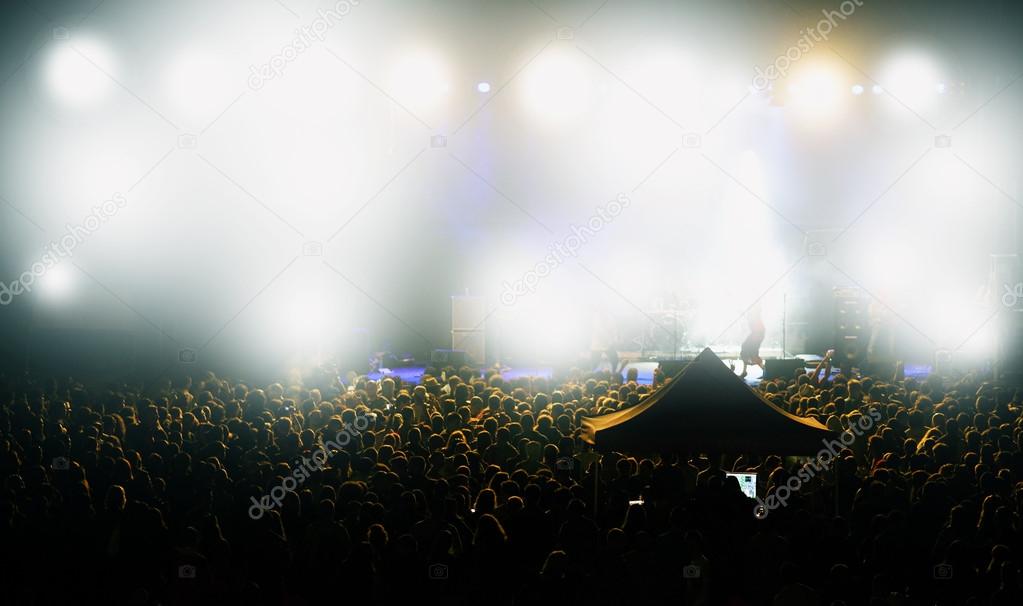 Crowd at concert