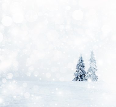 Karlı köknar ağaçları ile Noel arkaplanı