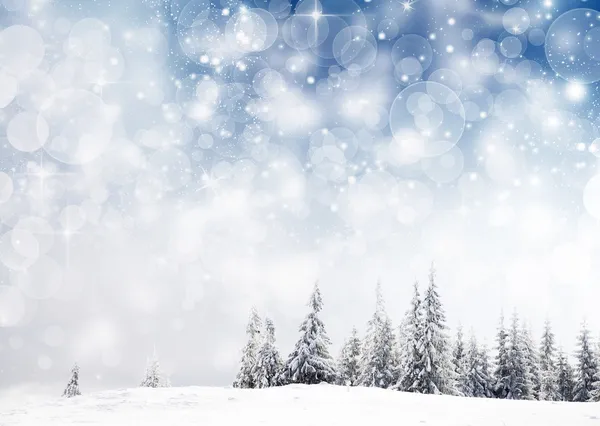 Karlı köknar ağaçları ile Noel arkaplanı