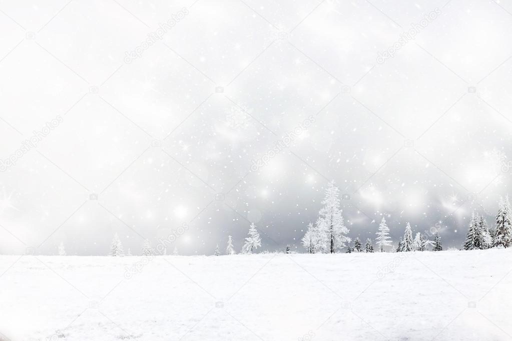 Christmas background with snowy fir trees