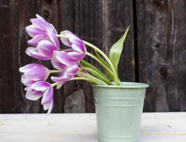 tencerede Pembe Laleler