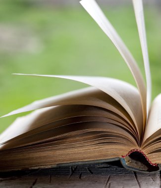 Açık yeşil arka plan üzerinde kitap