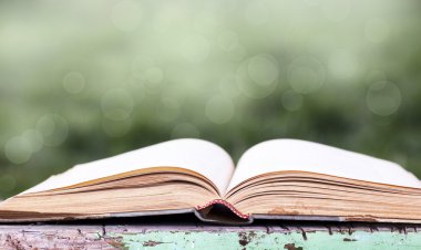 Açık yeşil arka plan üzerinde kitap