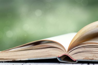 Açık yeşil arka plan üzerinde kitap