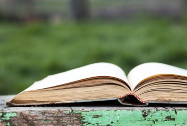 Açık yeşil arka plan üzerinde kitap