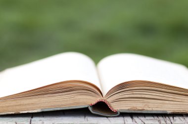 Açık yeşil arka plan üzerinde kitap