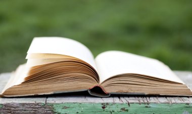 Açık yeşil arka plan üzerinde kitap