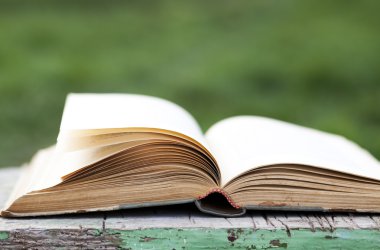 Açık yeşil arka plan üzerinde kitap