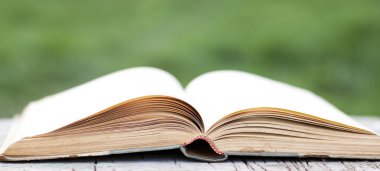 Açık yeşil arka plan üzerinde kitap