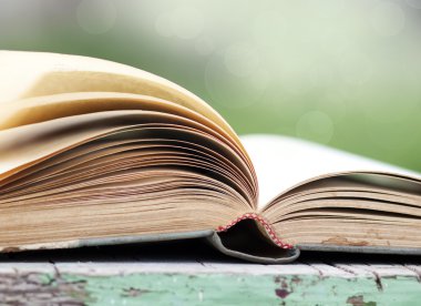 Açık yeşil arka plan üzerinde kitap