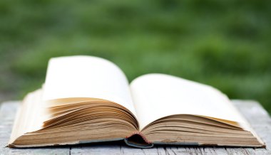 Açık yeşil arka plan üzerinde kitap