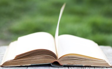 Açık yeşil arka plan üzerinde kitap