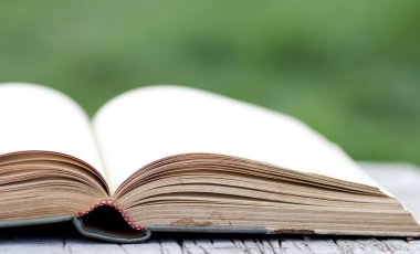 Açık yeşil arka plan üzerinde kitap