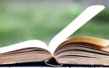 Açık yeşil arka plan üzerinde kitap