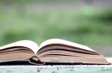 Açık yeşil arka plan üzerinde kitap