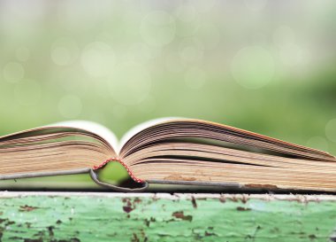 Açık yeşil arka plan üzerinde kitap