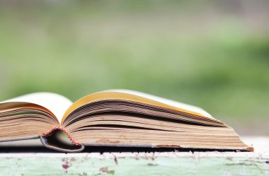 Açık yeşil arka plan üzerinde kitap
