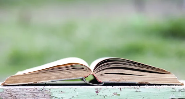 Open book on green background — Stock Photo, Image