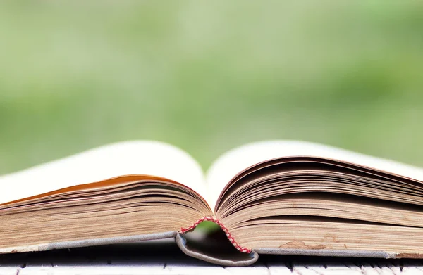 Açık yeşil arka plan üzerinde kitap