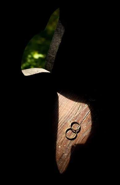 Anillos de boda — Foto de Stock