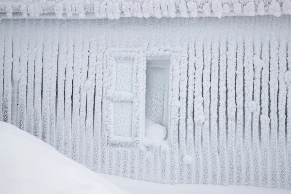 Magische Winterlandschaft Mit Schneebedeckten Tannen — Stockfoto