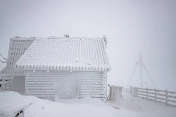 Magisch Winterlandschap Met Besneeuwde Dennenbomen — Stockfoto