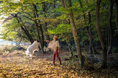 Sonbahar ormanında köpekle oynayan kadın.