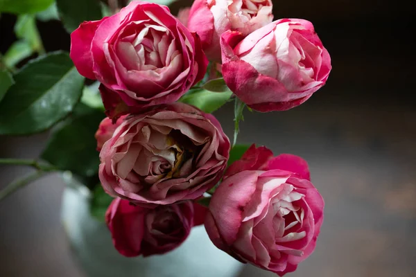 Vintage Drying Pink Roses Vase — Stock Photo, Image