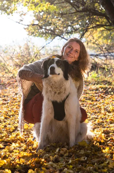 Женщина Играет Собакой Осеннем Лесу — стоковое фото