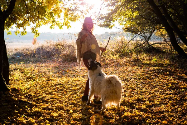 Sonbahar Ormanında Köpekle Oynayan Kadın — Stok fotoğraf