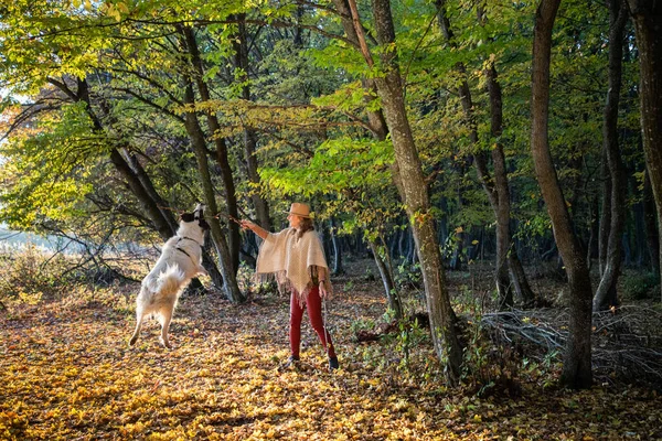 秋天森林里与狗玩耍的女人 — 图库照片