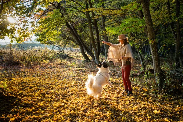 Frau Spielt Mit Hund Herbstwald — Stockfoto
