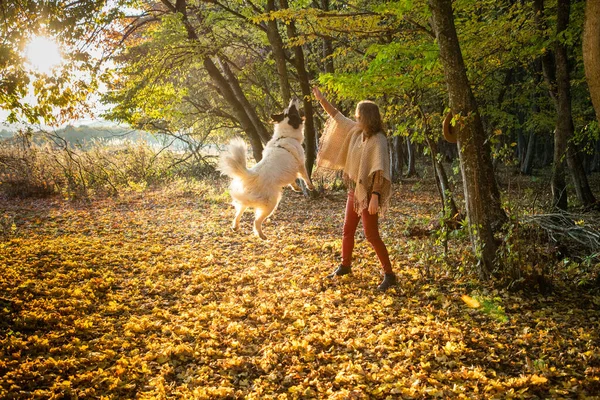 Mujer Jugando Con Perro Otoño Bosque — Foto de Stock