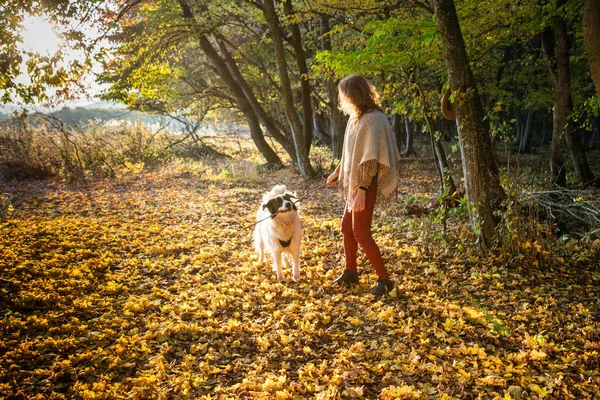 Donna Che Gioca Con Cane Nella Foresta Autunnale — Foto Stock