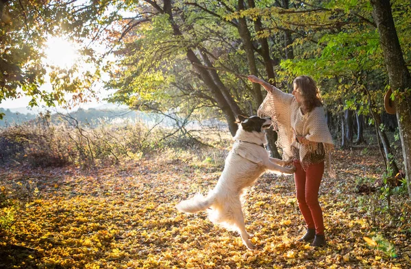 Sonbahar Ormanında Köpekle Oynayan Kadın — Stok fotoğraf