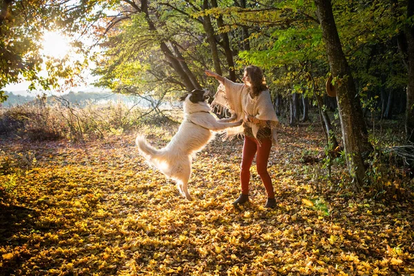 Sonbahar Ormanında Köpekle Oynayan Kadın — Stok fotoğraf