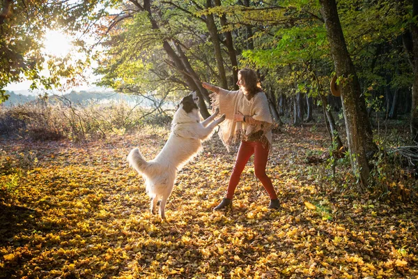 Mujer Jugando Con Perro Otoño Bosque —  Fotos de Stock