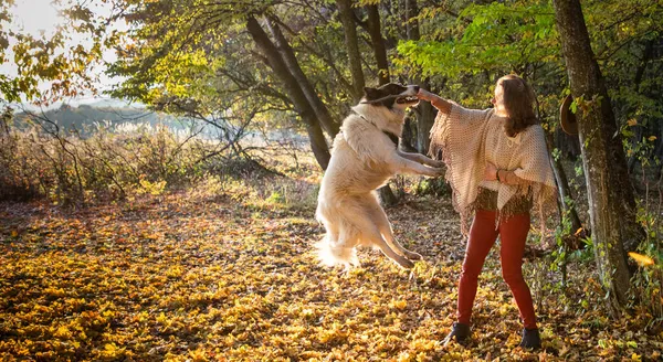 Donna Che Gioca Con Cane Nella Foresta Autunnale — Foto Stock