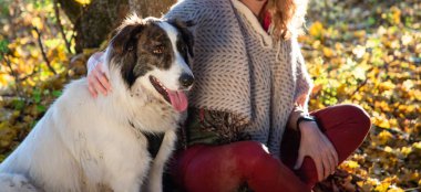 Sonbahar ormanında köpekle oynayan kadın.