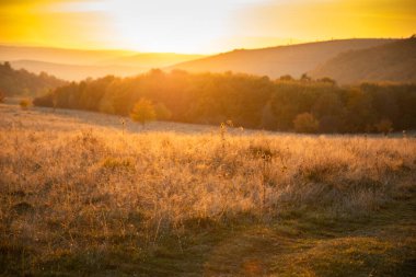 Sonbahar tarlasında inanılmaz gün batımı