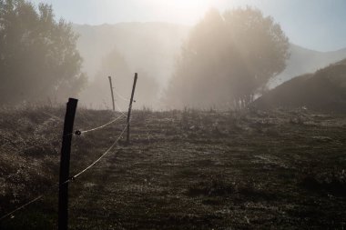 Transilvanya kırsalında güzel sisli sonbahar sabahı manzarası