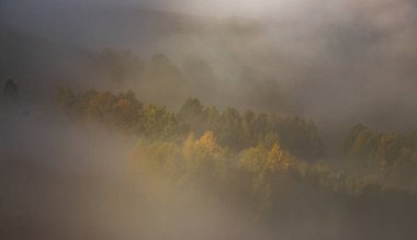 Transilvanya kırsalında güzel sisli sonbahar sabahı manzarası