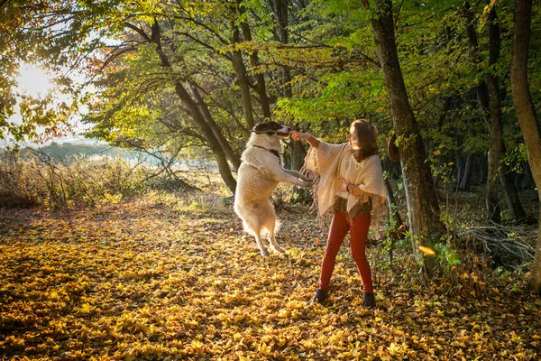 Mujer Jugando Con Perro Otoño Bosque — Foto de Stock