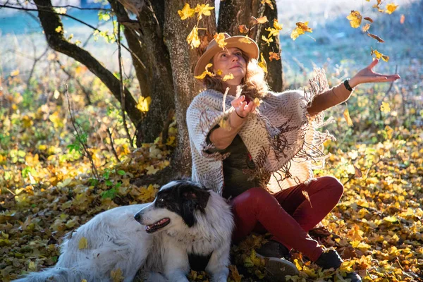 Γυναίκα Παίζει Σκυλί Στο Δάσος Του Φθινοπώρου — Φωτογραφία Αρχείου