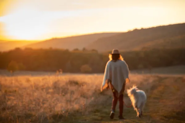 Vrouw Wandelen Met Hond Verbazingwekkende Zonsondergang Herfst Veld — Stockfoto