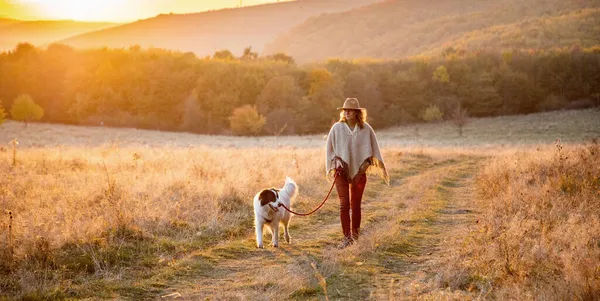 Sonbahar Tarlasında Köpeğiyle Muhteşem Bir Gün Batımında Yürüyen Bir Kadın — Stok fotoğraf